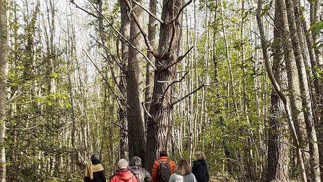 Ahimsa bien-être Bretagne - Plobannalec-Lesconil - Pays Bigouden - 10