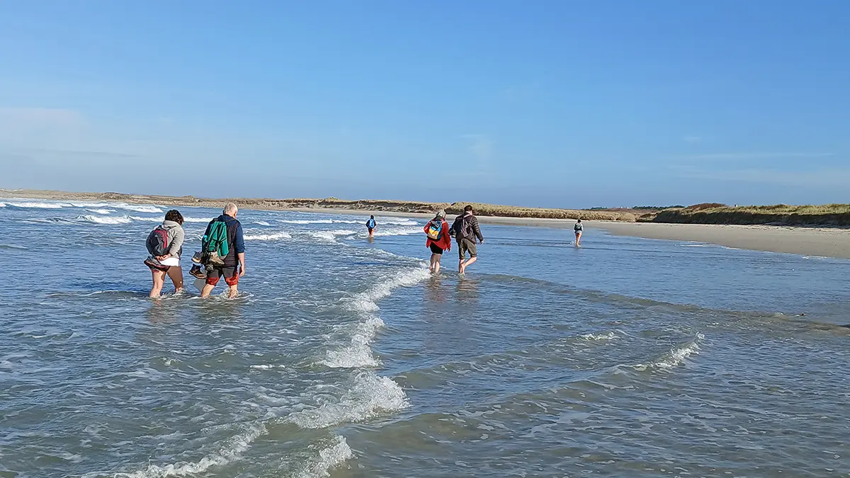 Ahimsa bien-être Bretagne - Plobannalec-Lesconil - Pays Bigouden - 14