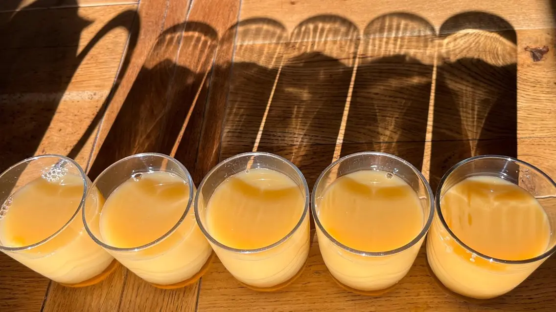 Ahimsa bien-être Bretagne - Plobannalec-Lesconil - Pays Bigouden - 6