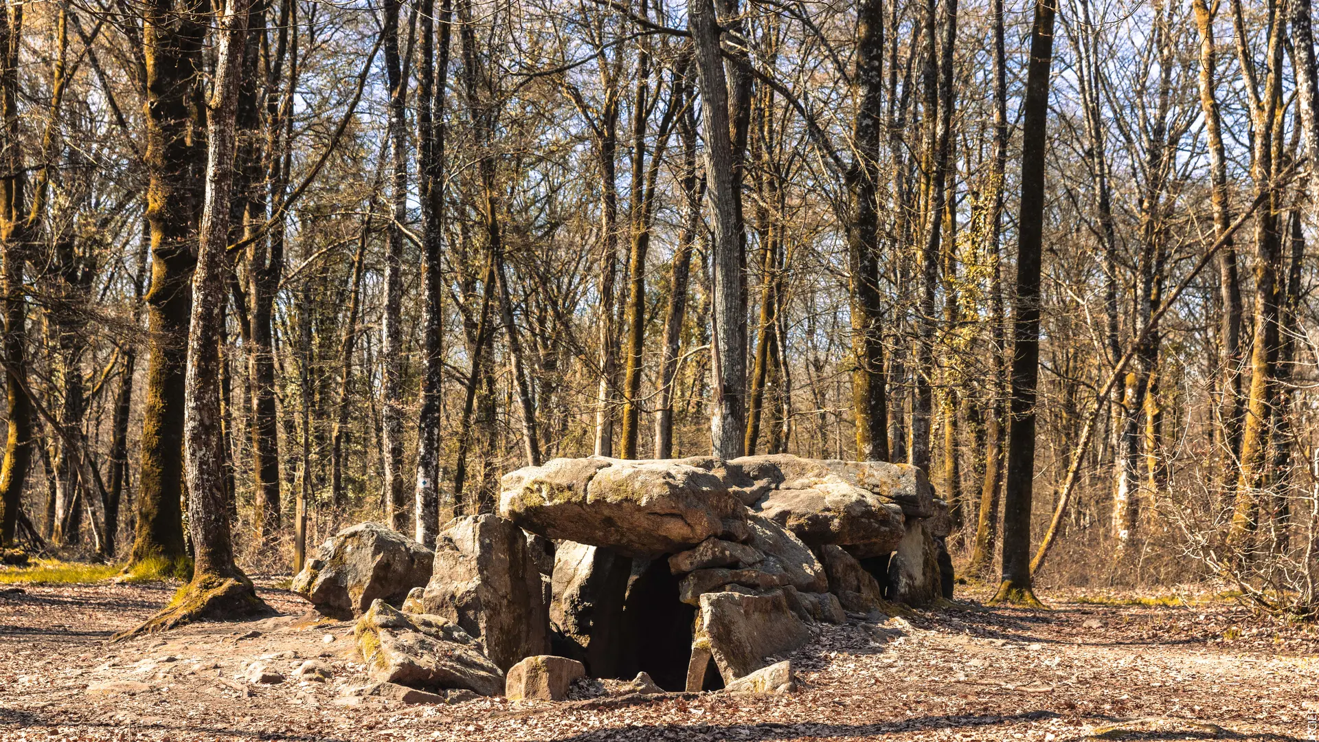 Destination Saint Malo 2023