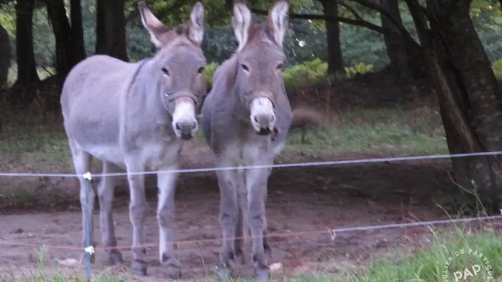Gouriten Michel chalet 4 - Pont l'Abbé - Pays bigouden