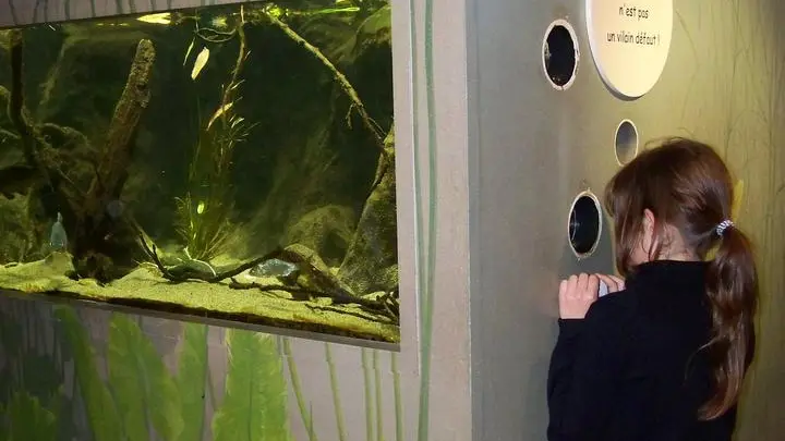 Aquarium des Curieux de nature