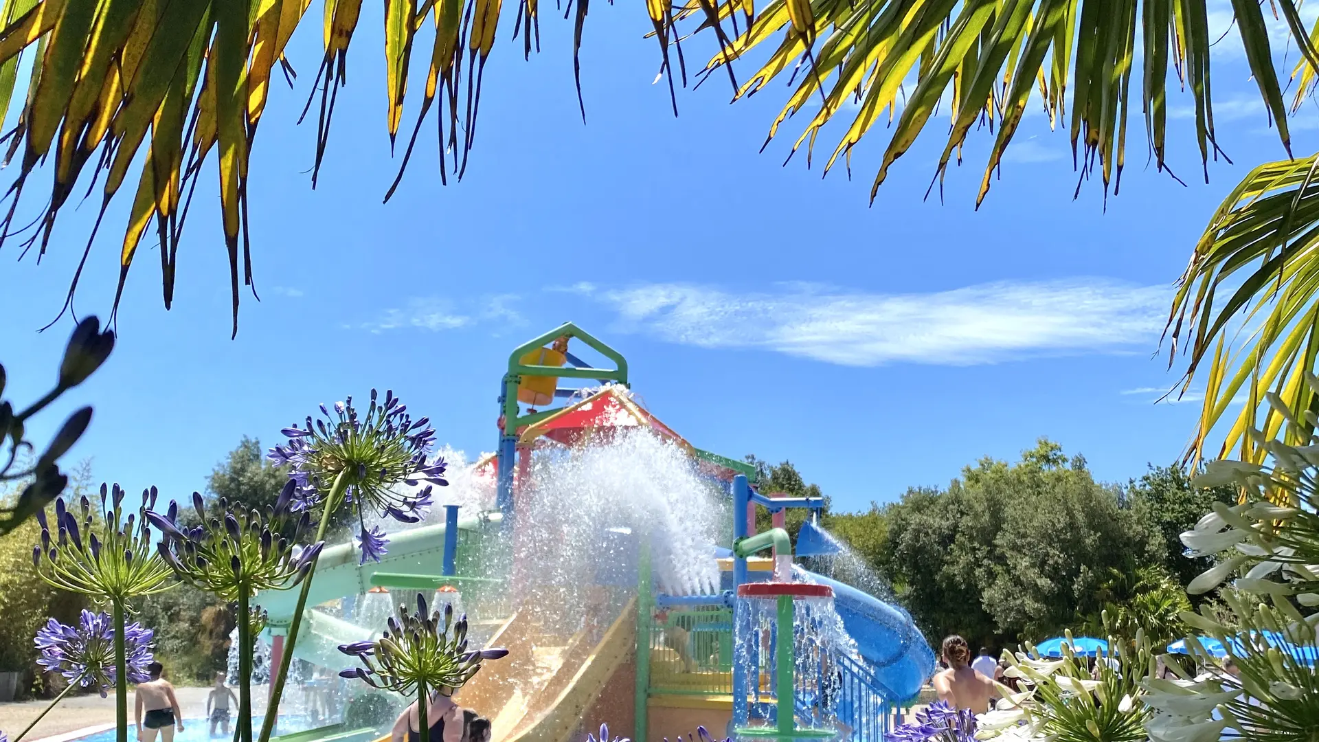 Aquatico
