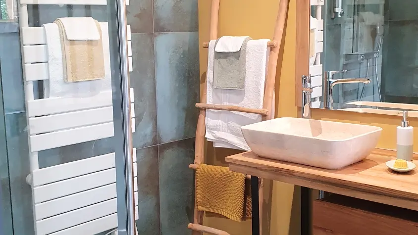 Au 46 Salle d'eau Lichens