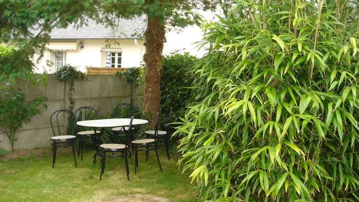 BLANLOEIL-PLOUMILLIAU-7