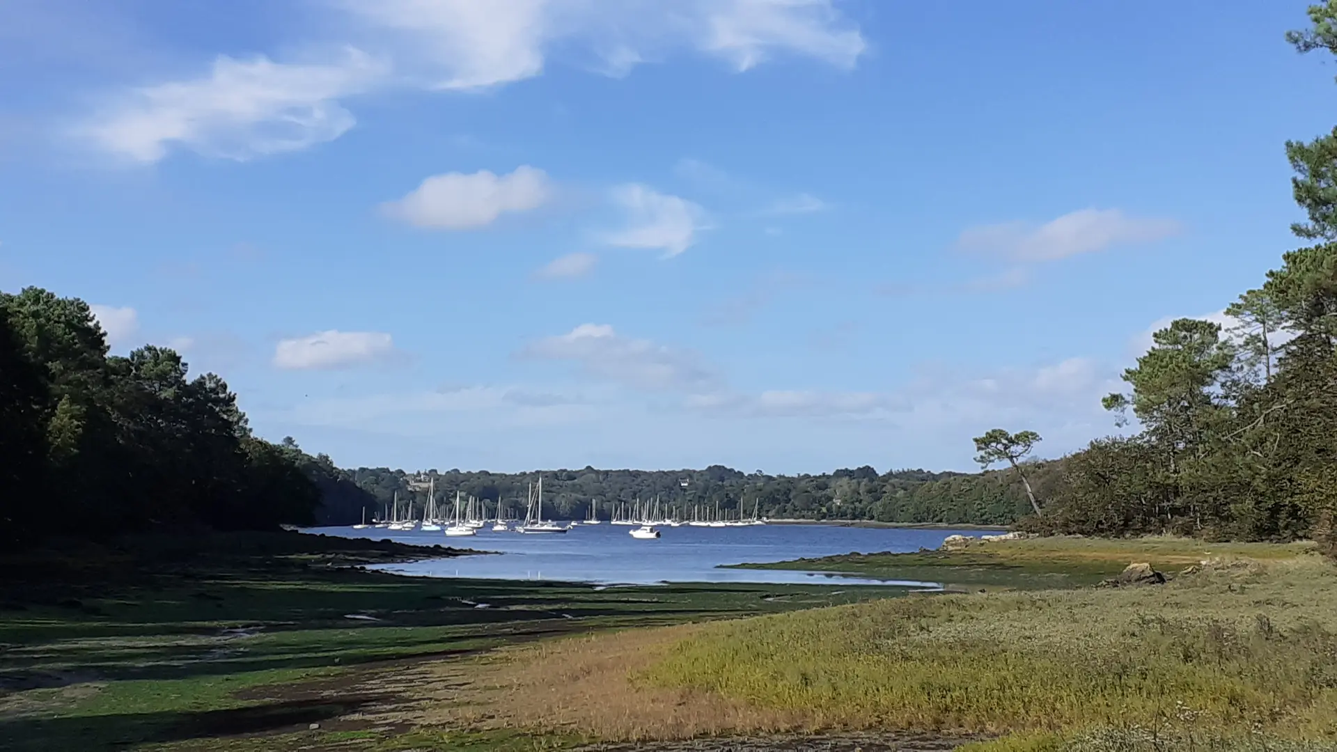 Ahimsa-Bien-Être - Bretagne - Lesconil - Pays Bigouden - Bigoudenjoy