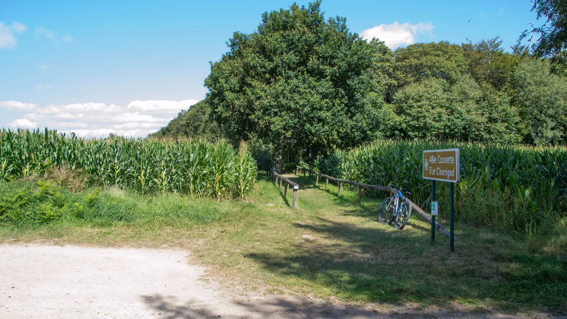 Balade vélo poullan (1)