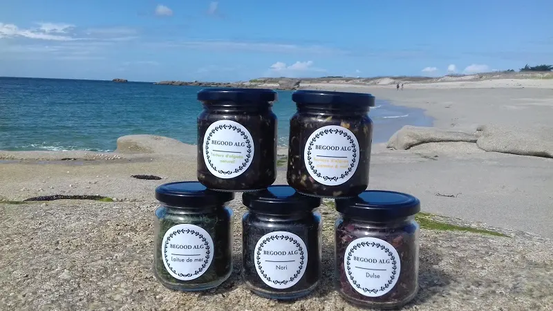 Begood Alg - Plozévet - Pays Bigouden 3