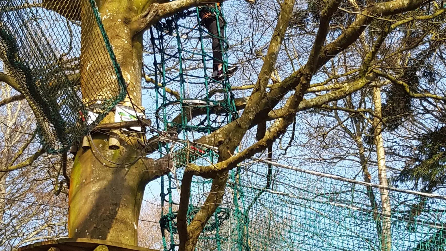 Bonobo Parc