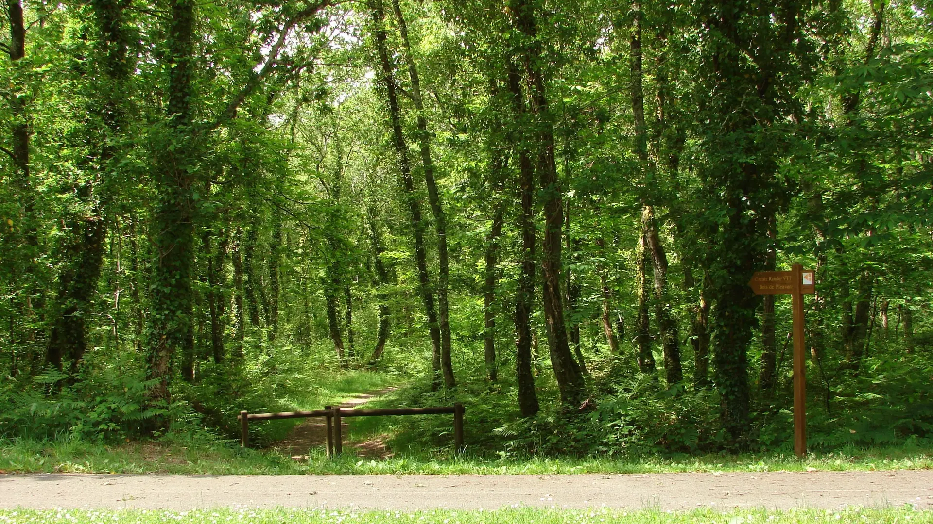 Bois de Pleuven