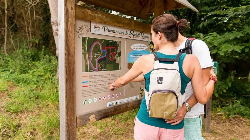 Bois de Saint Ronan - Plozevet - Pays Bigouden-1