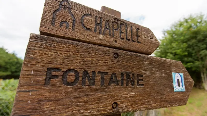 Bois de Saint Ronan - Plozevet - Pays Bigouden-3