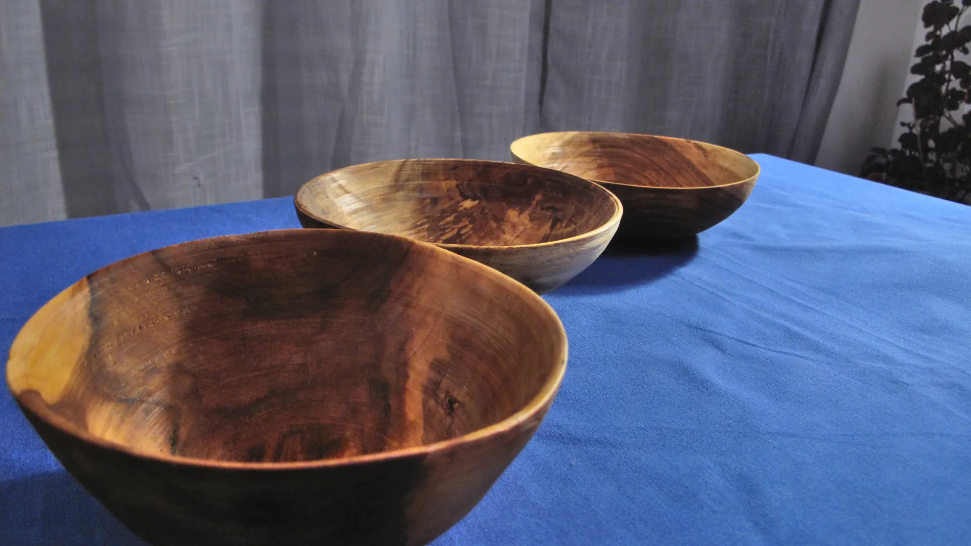 Matières d'autonomie