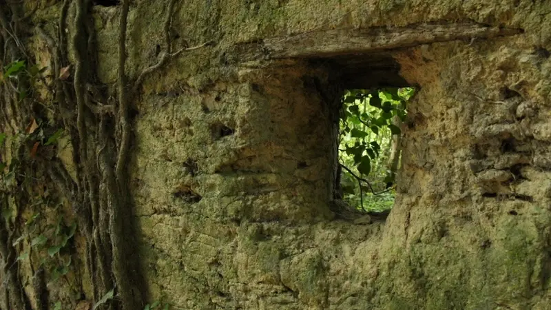 Buttes de la Hautiere Muel