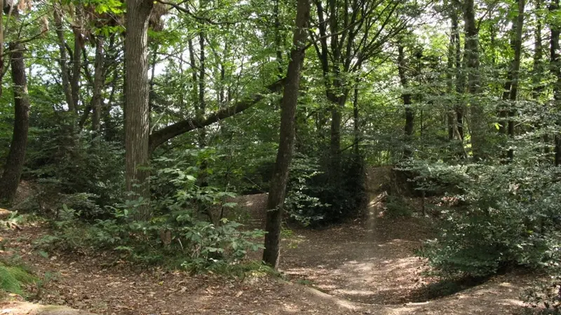 Buttes de la Hautiere Muel