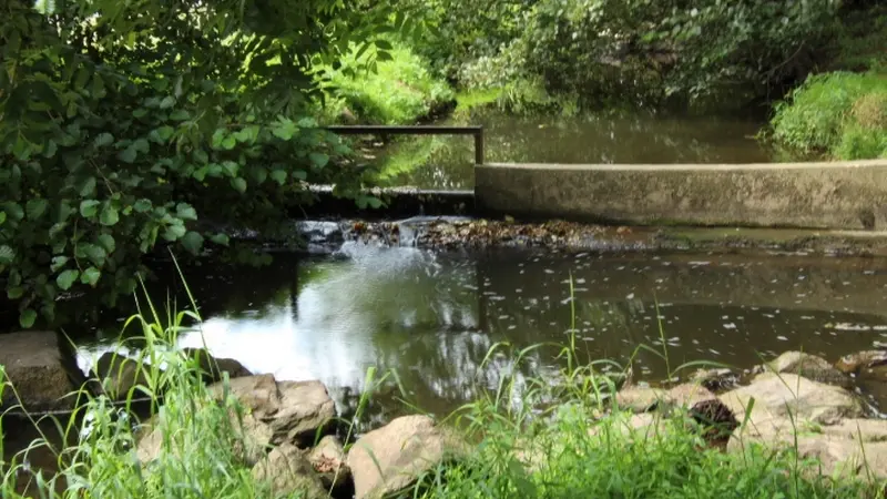 Buttes de la Hautiere Muel