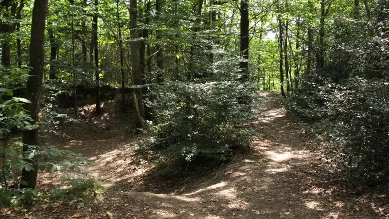 Buttes de la Hautiere Muel