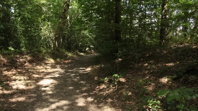 Buttes de la Hautiere Muel