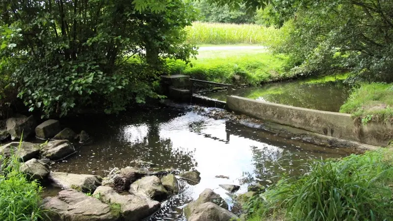Buttes de la Hautiere Muel