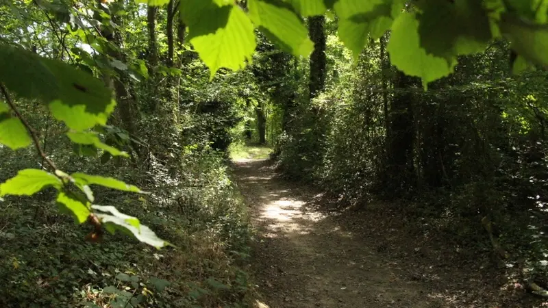 Buttes de la Hautiere Muel