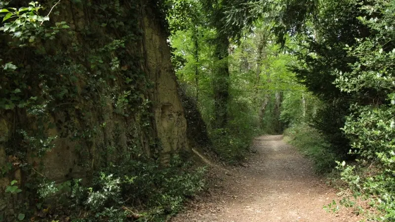 Buttes de la Hautiere Muel