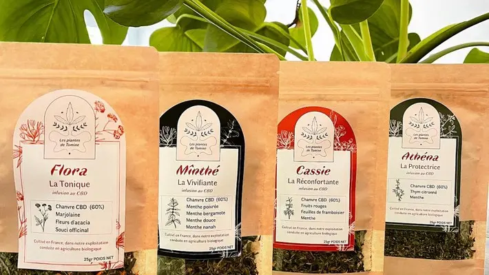 CBD Shop - The Green Wave - Pont-l'Abbé - Pays Bigouden - 5