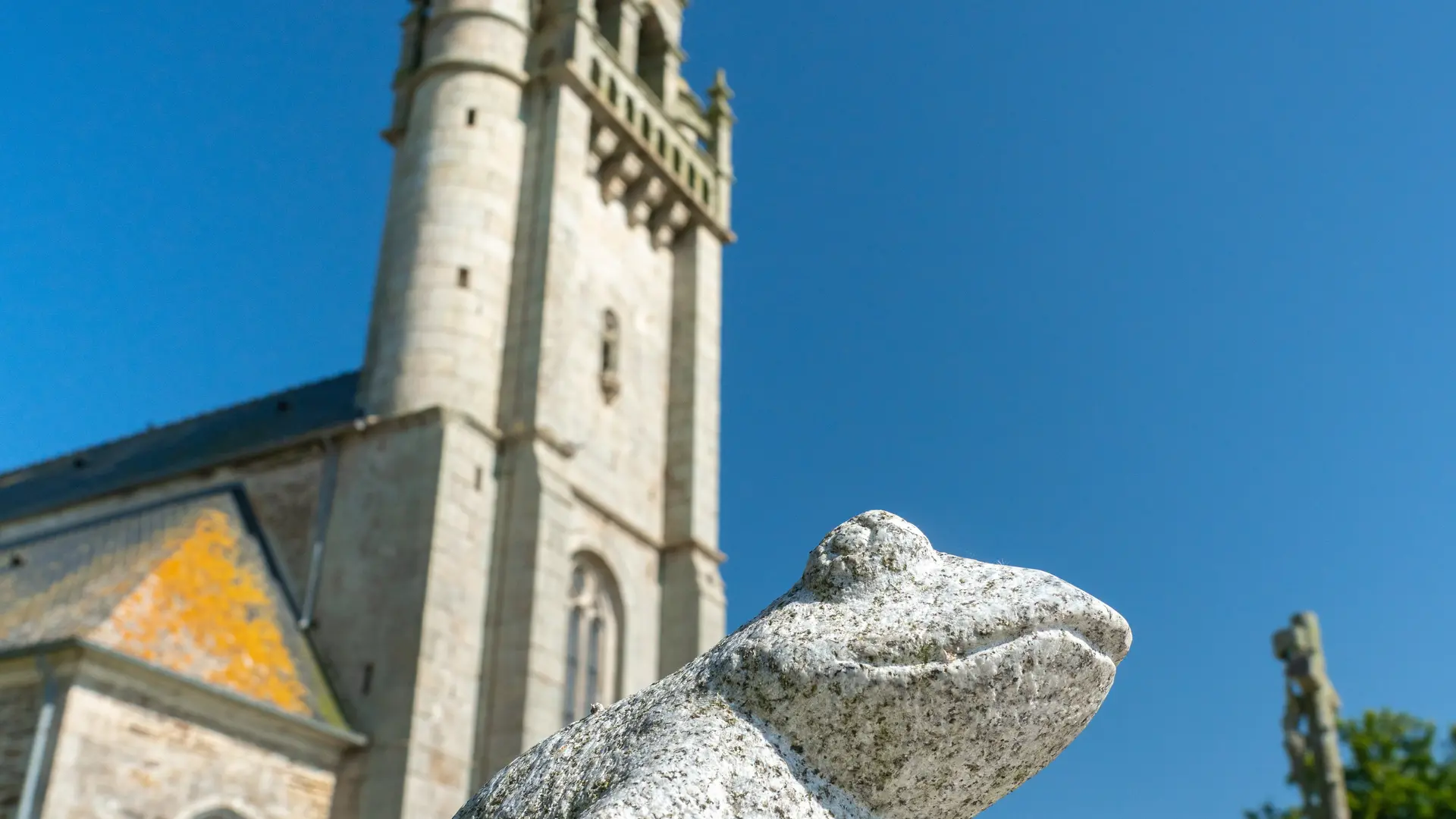 CPRB-DSC02180-MRIVRIN