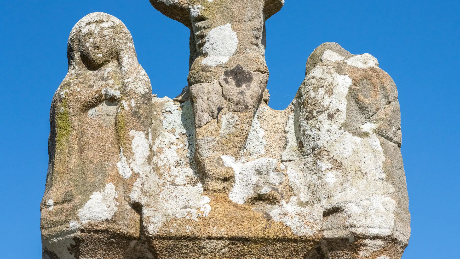 CPRB-DSC02290-MRIVRIN