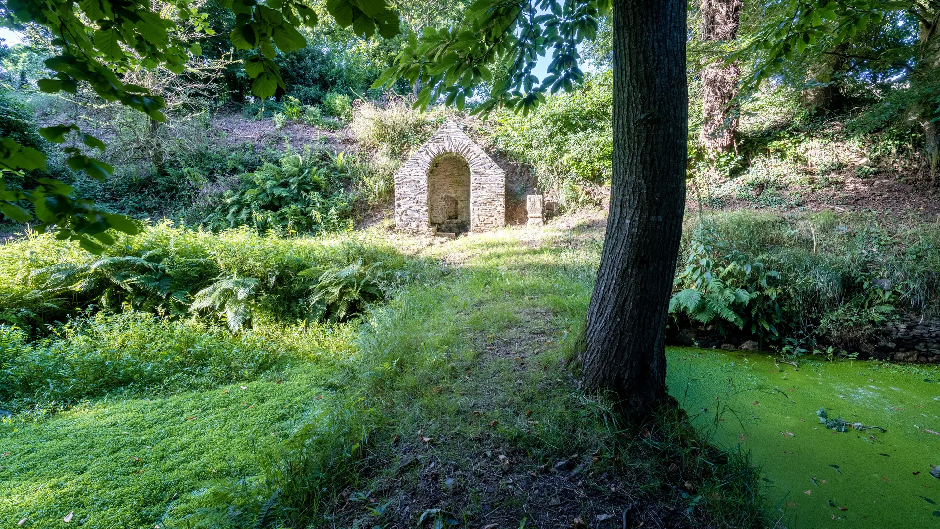 CPRB-DSC02358-MRIVRIN