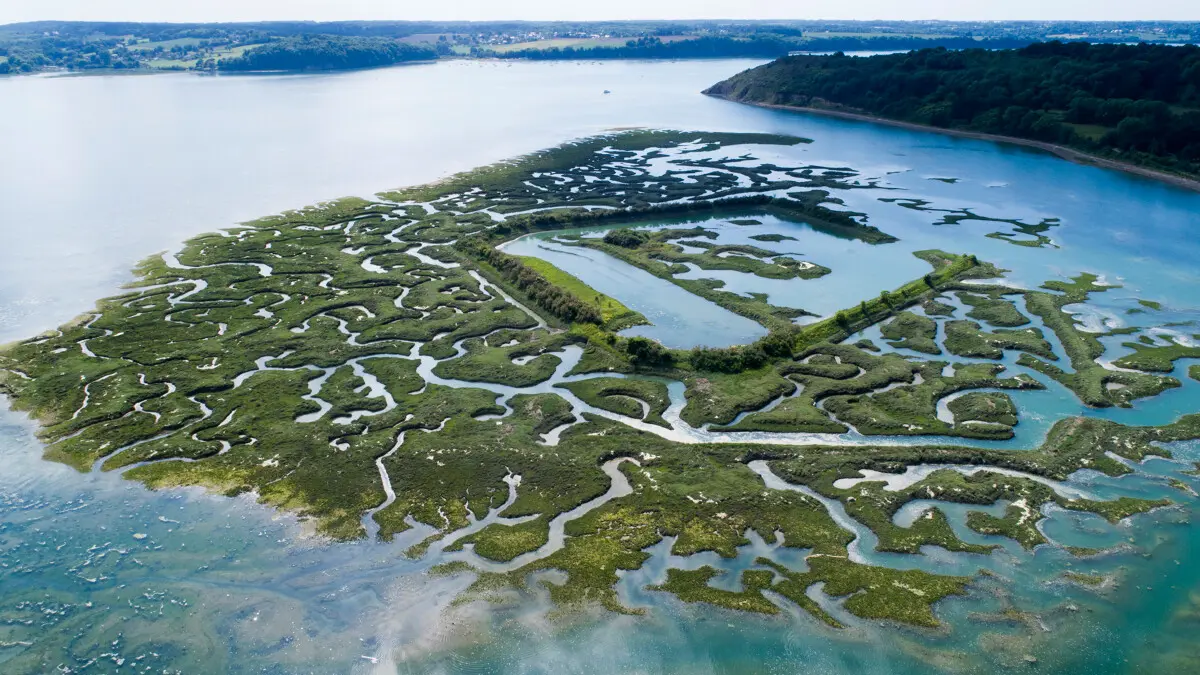 Vestiges Camp Viking Saint-Suliac