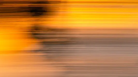 Candide-Camera-Galerie-d-art-Dinard-Ondes-II-4