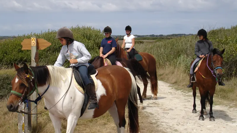 Centre équestre de la joie - Penmarc'h - Pays Bigouden - Bigoudenjoy