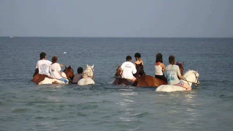 Centre équestre de la joie - Penmarc'h - Pays Bigouden - Bigoudenjoy