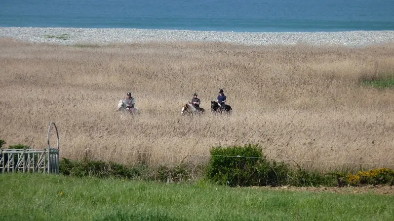 Centre équestre Ty Marc'h - Pouldreuzic - Bigoudenjoy