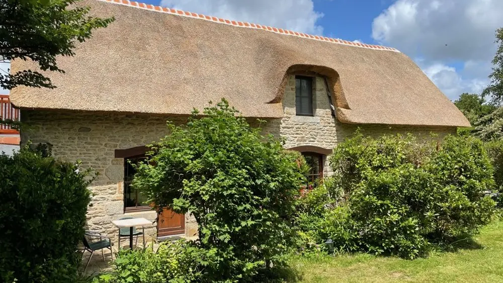 VAN DORSSEN Conrad - Mimosa - Plomeur - Pays bigouden