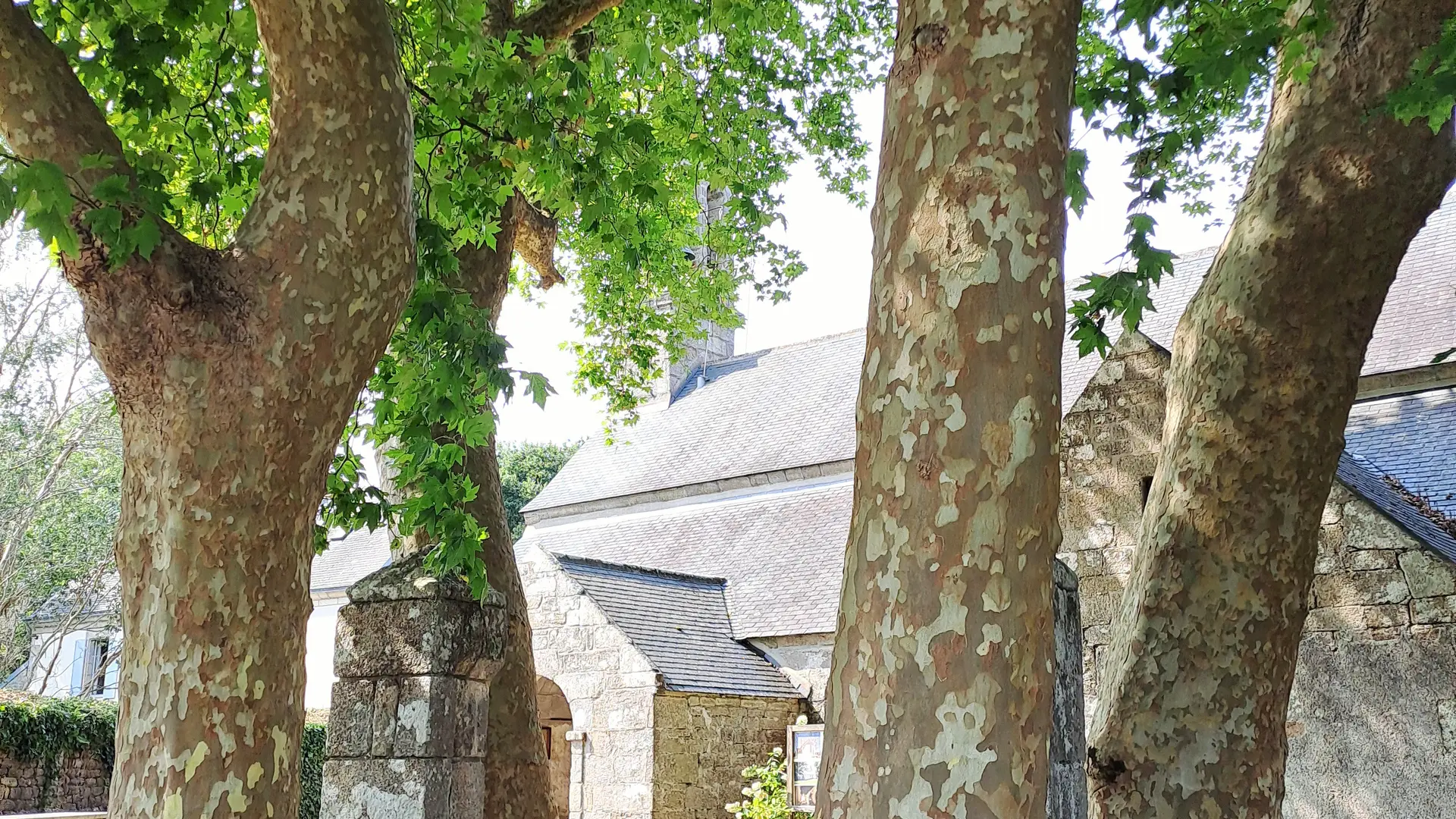 Chapelle de Plonivel - Plobannalec-Lesconil(12)
