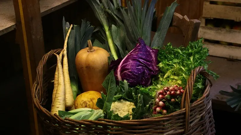 Chez Véro et Philippe - Plozévet - Pays Bigouden