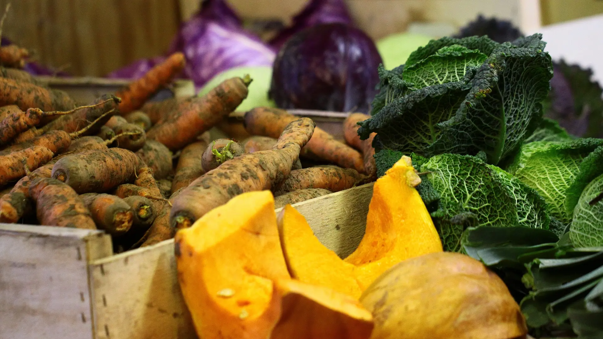 Chez Véro et Philippe - Plozévet - Pays Bigouden