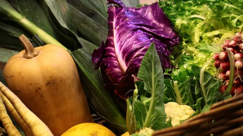 Chez Véro et Philippe - Plozévet - Pays Bigouden