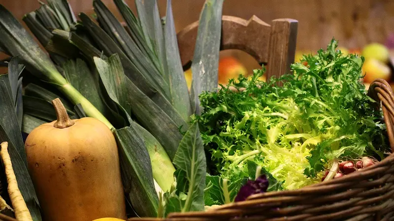 Chez Véro et Philippe - Plozévet - Pays Bigouden