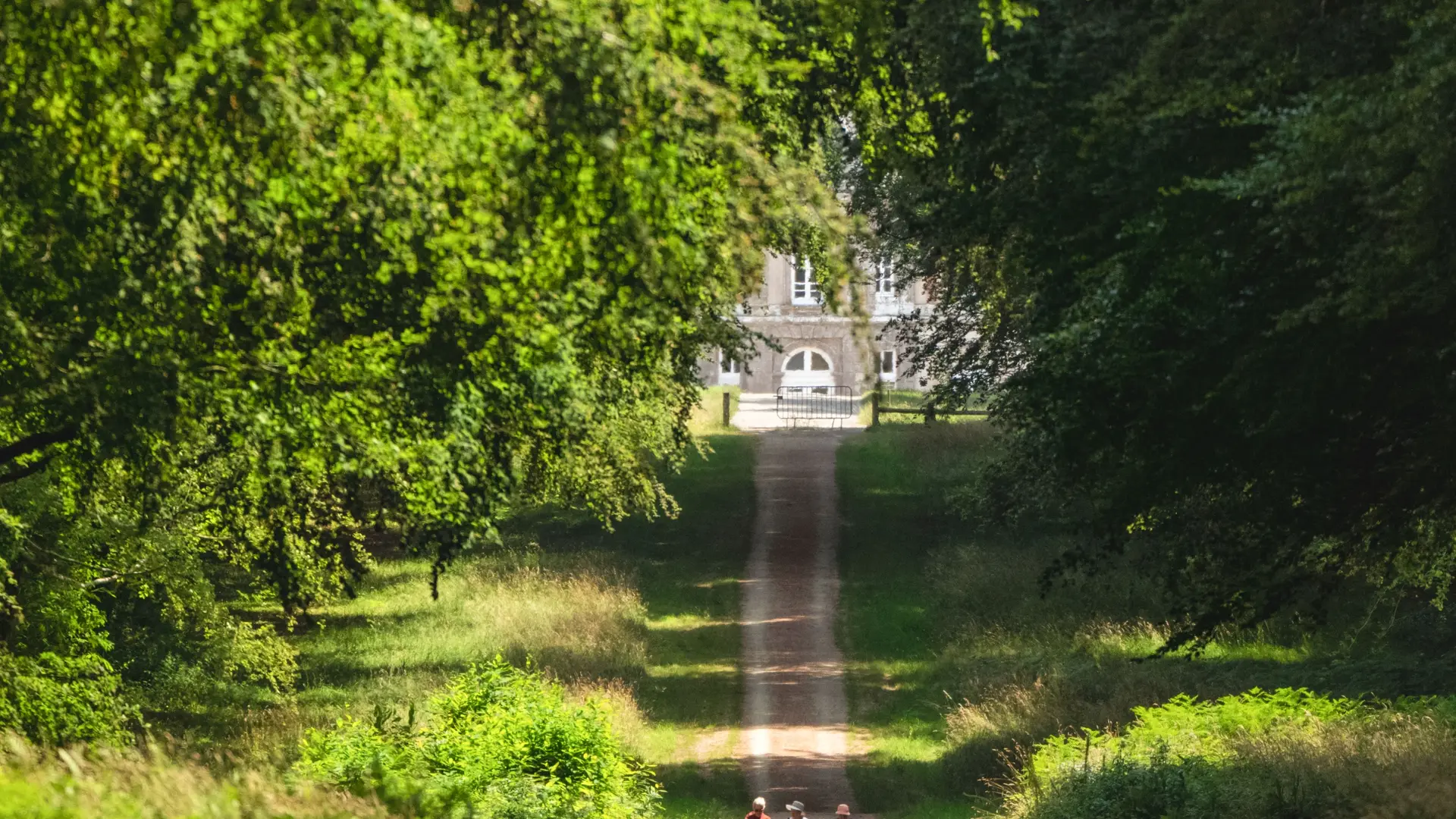 Allée de Cheffontaines