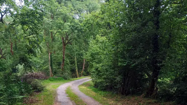 Chemin