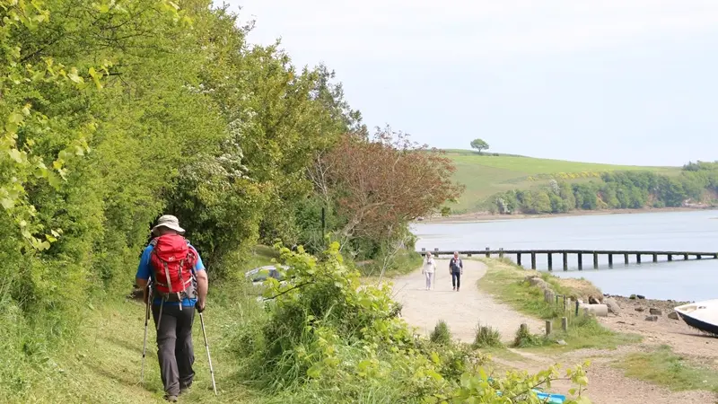 Chemins_de_randonnee_-_Saint-Jouan-des-Guerets-SMBMSM-3373