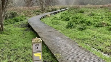 Circuit l'étang du moulin neuf - Tréméoc - Pays Bigouden