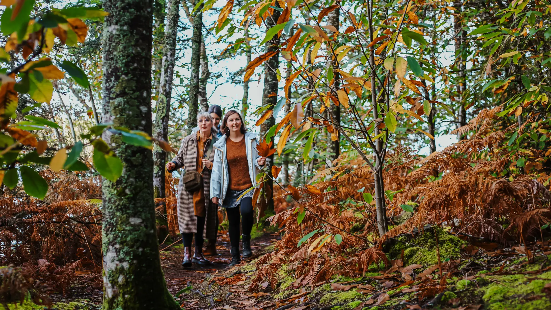 Bois de  Roscouré - Combrit - Pays Bigouden