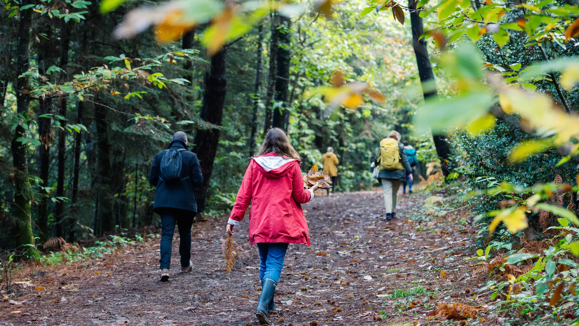 GR® de Pays Bigouden - Pays bigouden