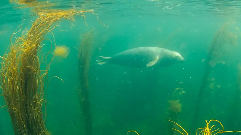 Centre nautique - Penmarc'h - Pays Bigouden