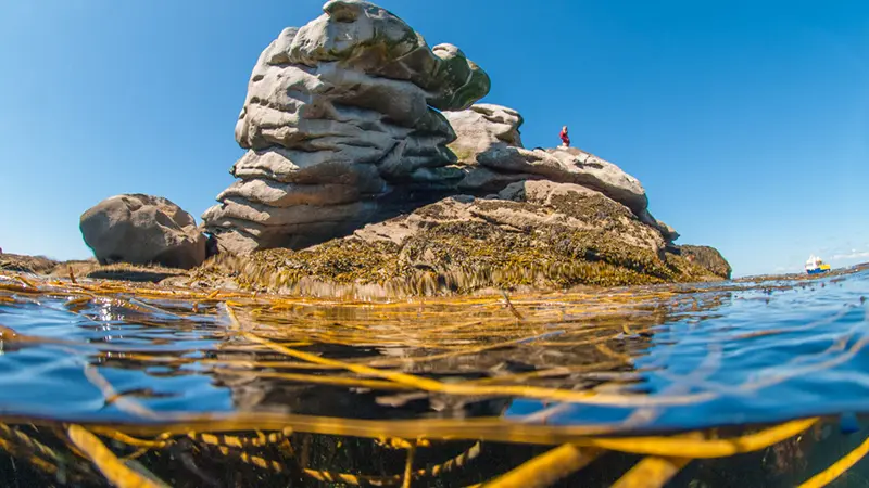 Centre nautique - Penmarc'h - Pays Bigouden