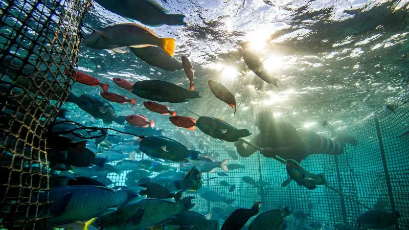 Festival Photo du Guilvinec - La mer en partage - Pays Bigouden  -  Bigoudenjoy