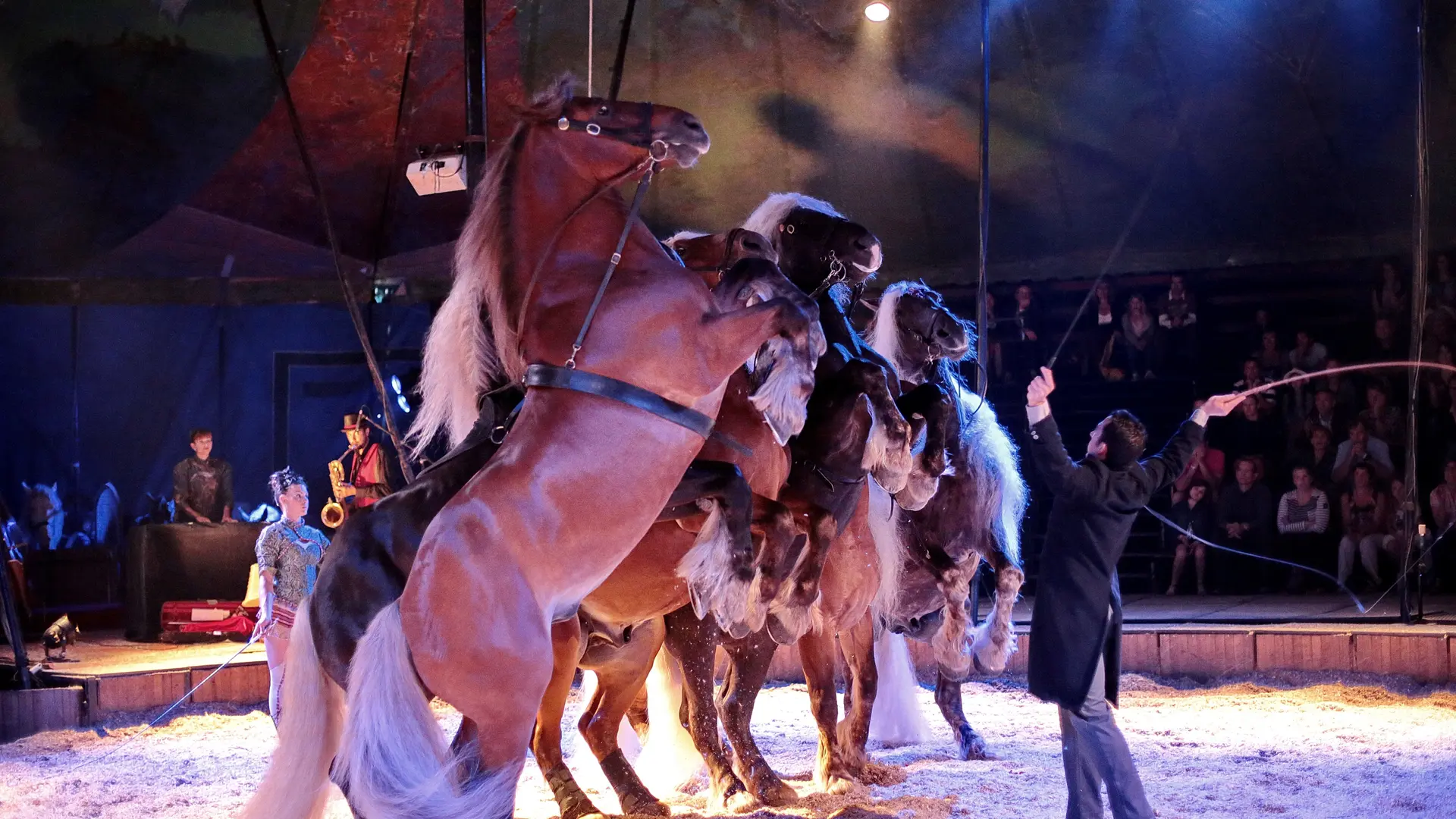 Spectacle équestre Cavale par la compagnie Jehol